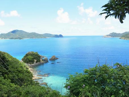 世界自然遺産の沖縄奄美へ！美しい自然を後世に残そう